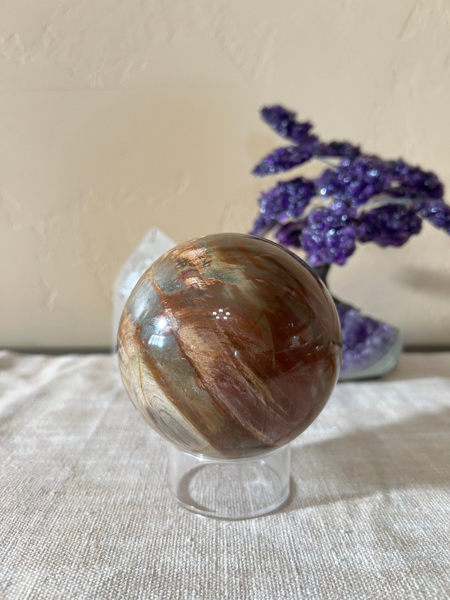 3.8 inch Rainbow Petrified Wood Sphere - Purple Door Alchemy