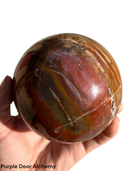 3.8 inch Rainbow Petrified Wood Sphere - Purple Door Alchemy