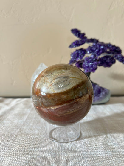 3.8 inch Rainbow Petrified Wood Sphere - Purple Door Alchemy