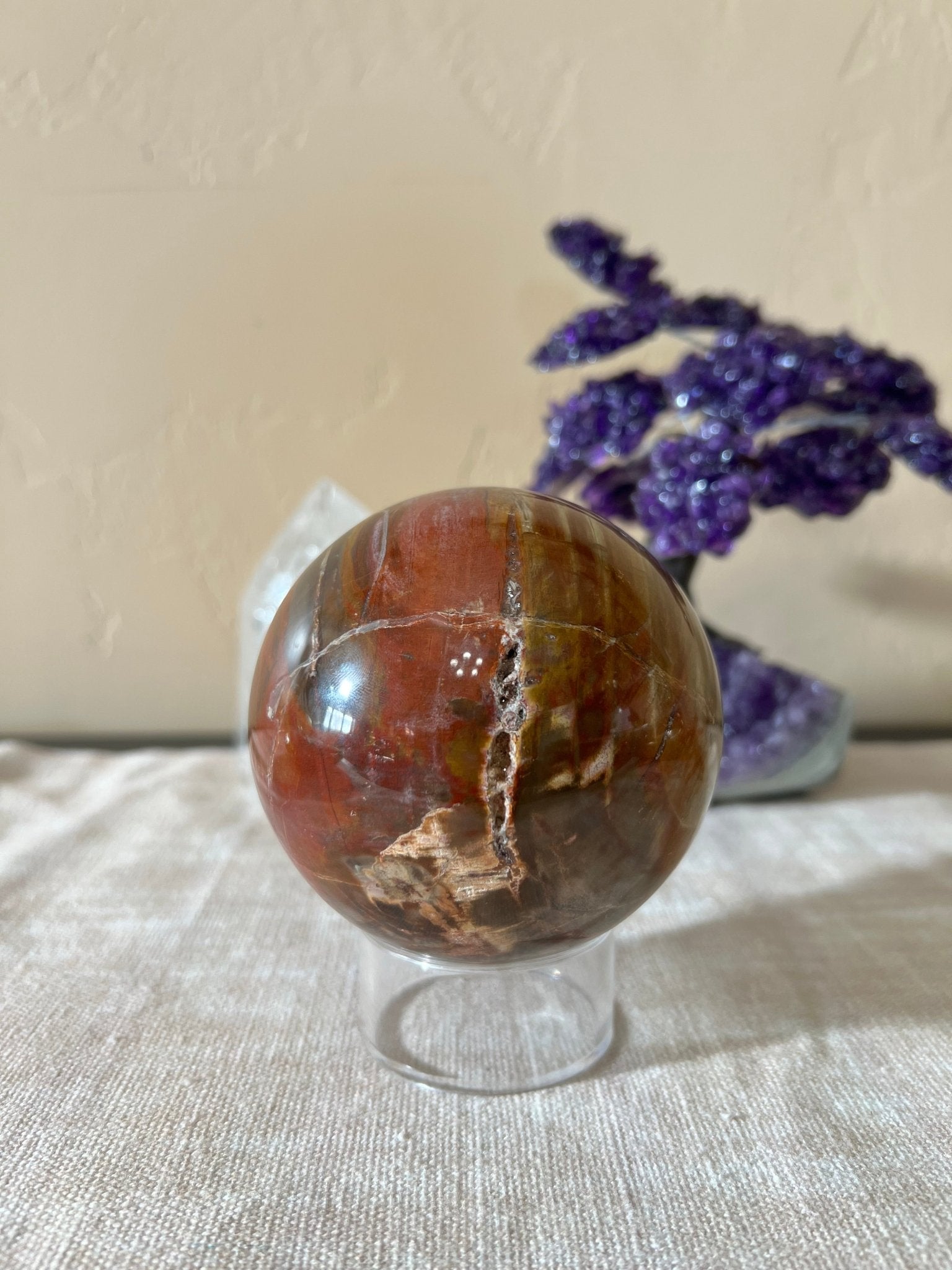 3.8 inch Rainbow Petrified Wood Sphere - Purple Door Alchemy