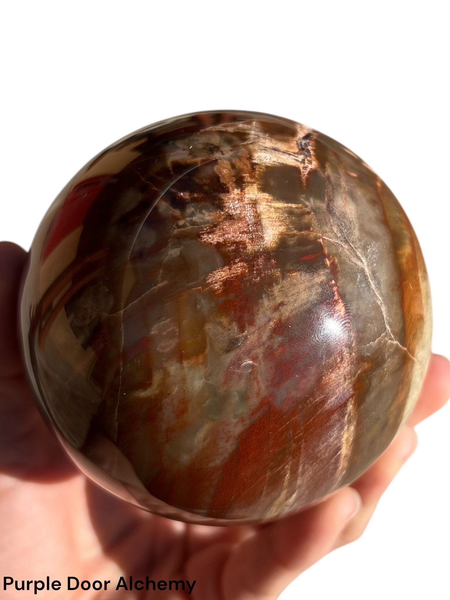 3.8 inch Rainbow Petrified Wood Sphere - Purple Door Alchemy