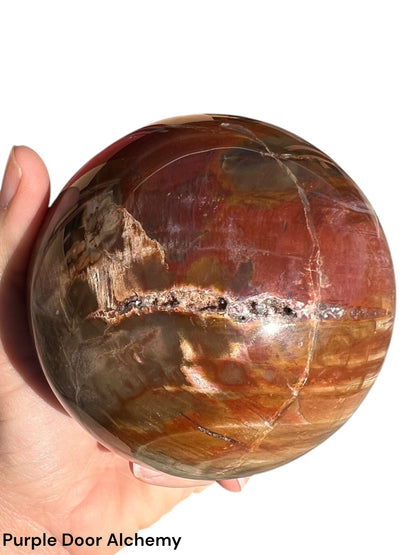 3.8 inch Rainbow Petrified Wood Sphere - Purple Door Alchemy