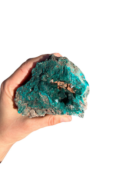 Gemmy Dioptase Extra Large Specimen 636g - Purple Door Alchemy