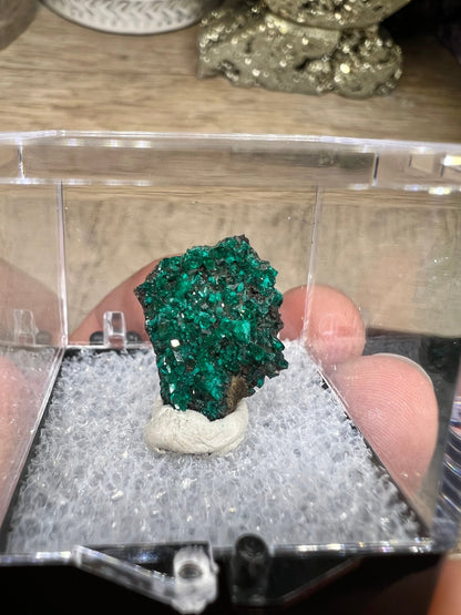 Gemmy Dioptase Micro Specimen 1.64g - Purple Door Alchemy