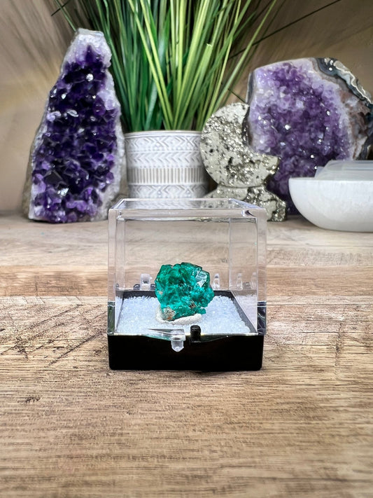 Gemmy Dioptase Small Specimen 5.02g - Purple Door Alchemy