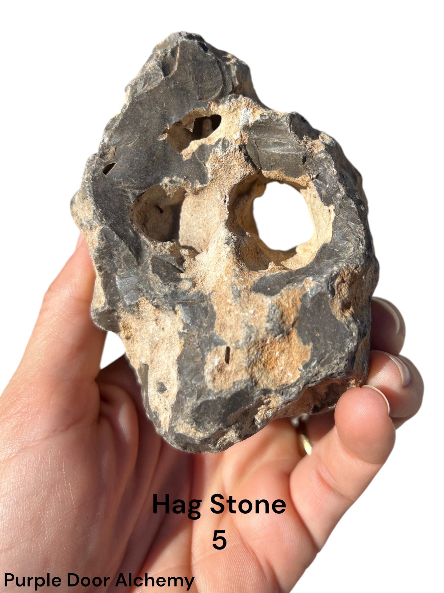 Large Hag Stones - Purple Door Alchemy