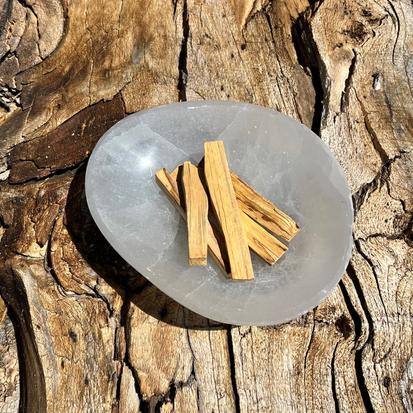 Palo Santo Stick - Purple Door Alchemy