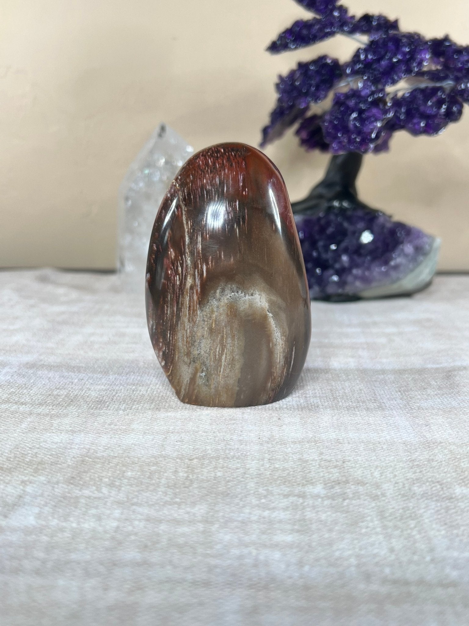 Petrified Wood Freeform - Purple Door Alchemy