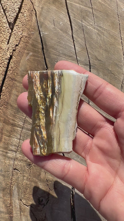 26g Arizona Pietersite Slab