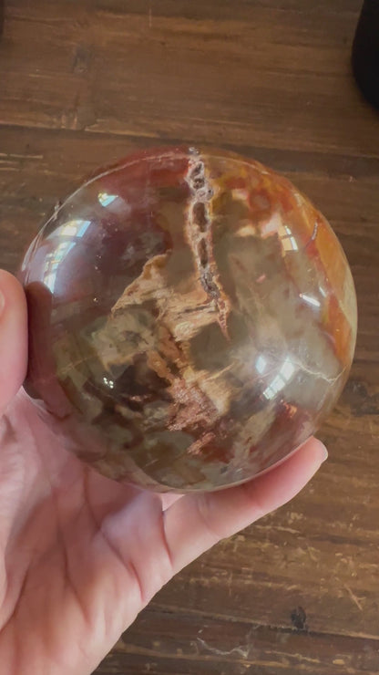 98mm (3.8 inches) Rainbow Petrified Wood Sphere