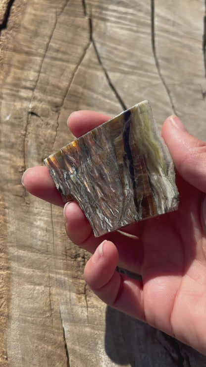 36g Arizona Pietersite Slab