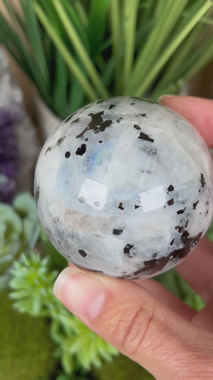 Rainbow Moonstone Sphere 57mm (2.2")