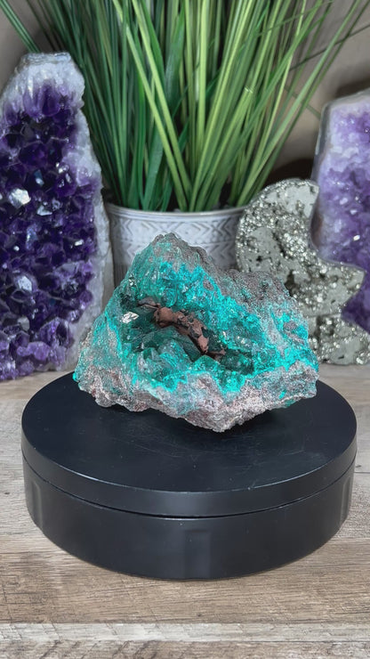 Gemmy Dioptase Extra Large Specimen 636g