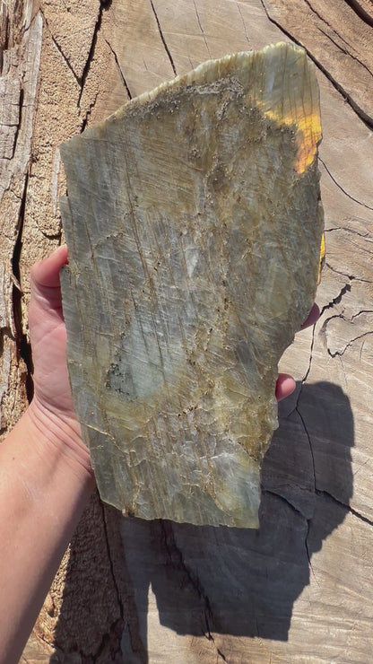 720g Labradorite Polished Slab