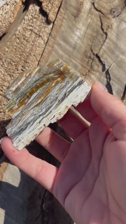 36g Arizona Pietersite Slab