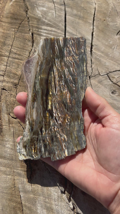 160g Arizona Pietersite Slab