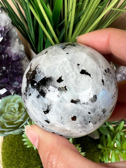 Rainbow Moonstone Sphere 57mm (2.2") - Purple Door Alchemy