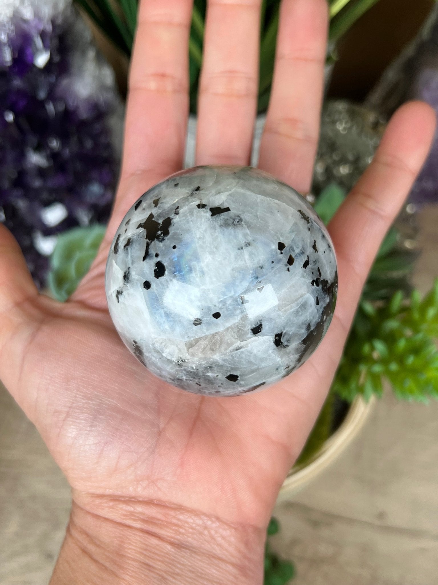 Rainbow Moonstone Sphere 57mm (2.2") - Purple Door Alchemy