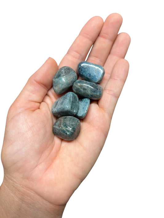 Tumbled Blue Apatite - Purple Door Alchemy